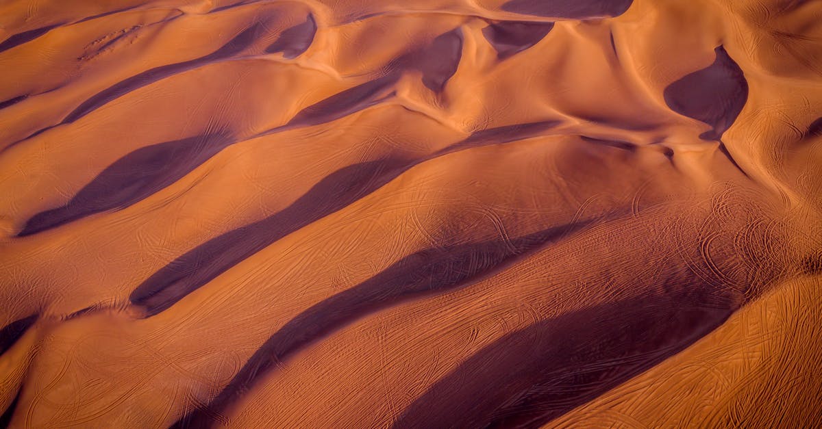 What's the purpose of elite caravans in the desert - Bird's Eye View Of Desert
