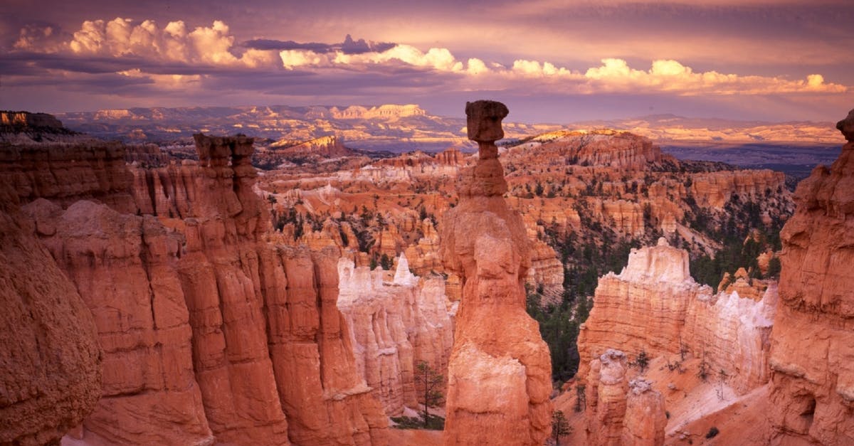 What's the purpose of elite caravans in the desert - Grand Canyon during Golden Hour