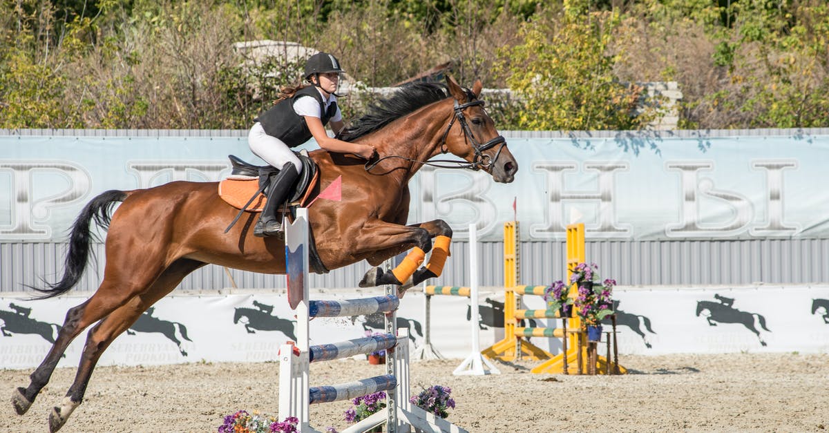 What's the quickest Agility Course in RS3? - Free stock photo of action energy, cavalry, dressage What's the quickest Agility Course in RS3? - Free stock photo of action energy, cavalry, dressage