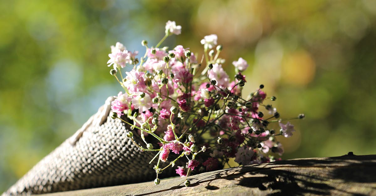 What's up with the pink sausages and onions? - Pink Petaled Flowers on Brown Tree Trunk What's up with the pink sausages and onions? - Pink Petaled Flowers on Brown Tree Trunk