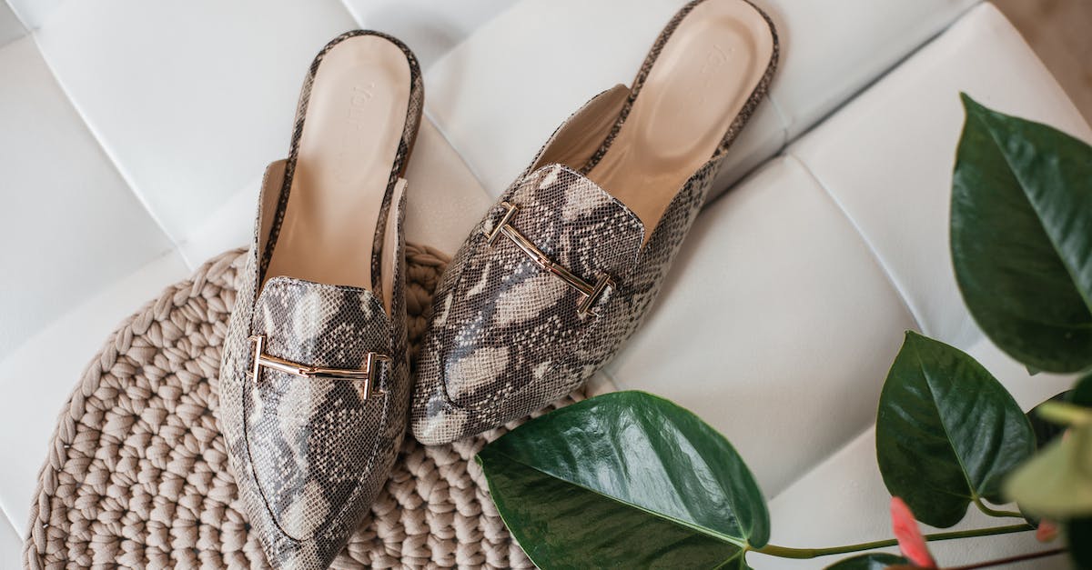 What's up with The Rotten? - Snake Skin Print Women Mules on White Sofa