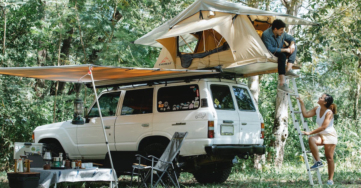 What activates auto fire? - Happy young multiracial couple spending time in forest during camping in summer What activates auto fire? - Happy young multiracial couple spending time in forest during camping in summer