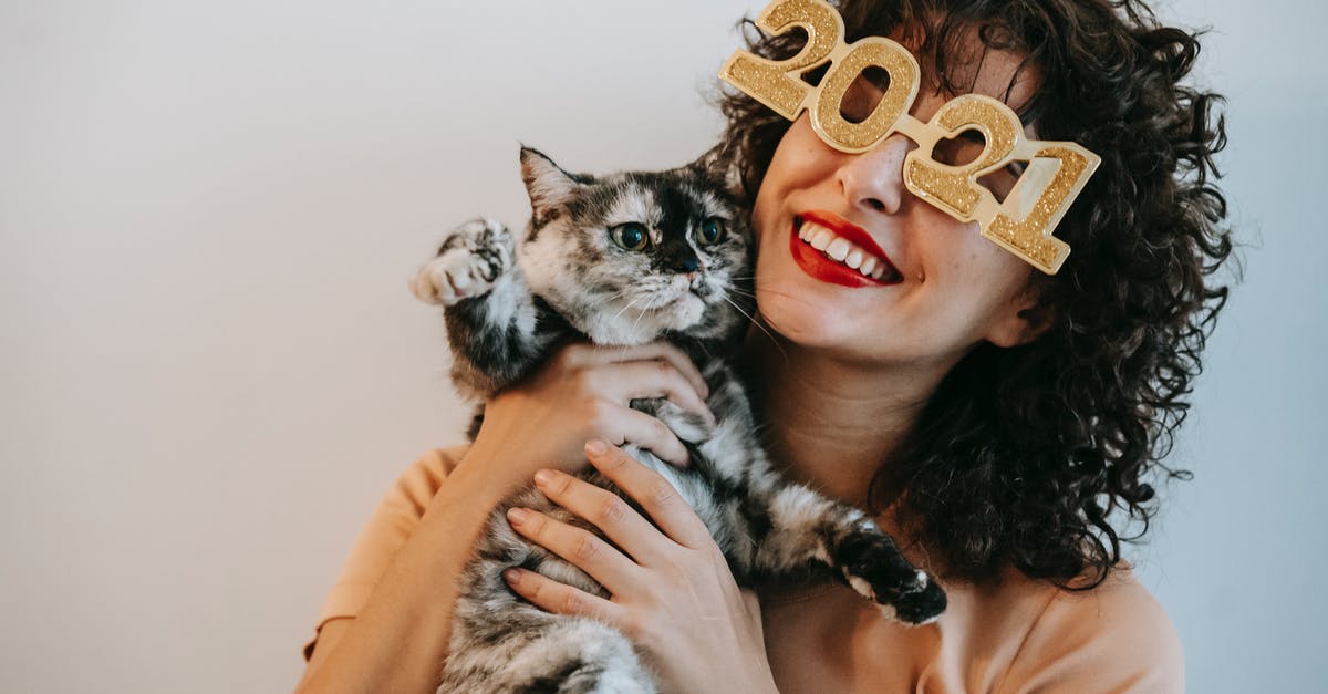 What affects how fast you are spotted by enemies? - Happy female in New Year glasses with numbers cuddling adorable cat with spotted fur on white background