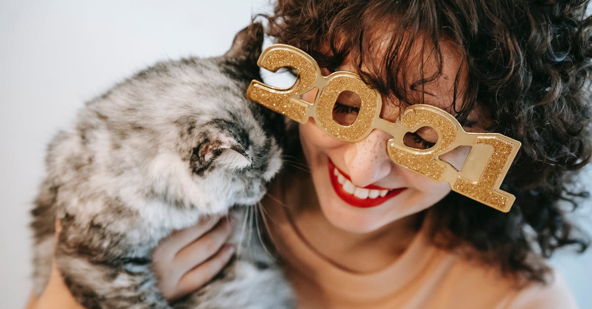 What affects how fast you are spotted by enemies? - Crop candid female in decorative glasses with numbers embracing fluffy cat with closed eyes during festive event on white background