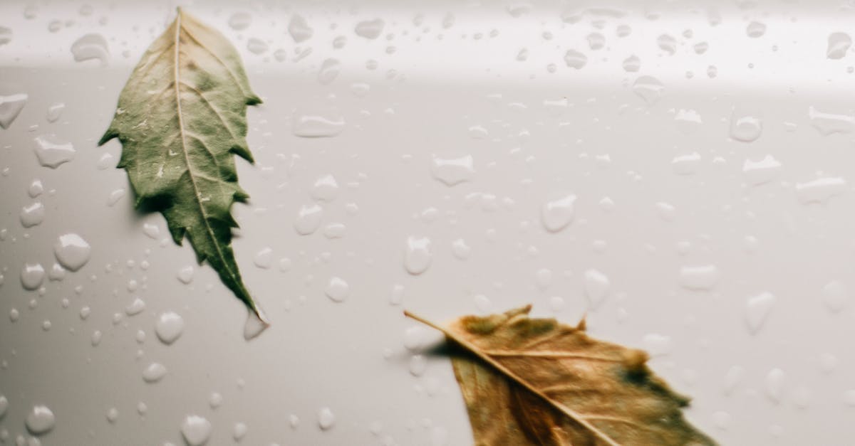 What affects the drop rate of elemental salts? - Wet white surface with leaves What affects the drop rate of elemental salts? - Wet white surface with leaves