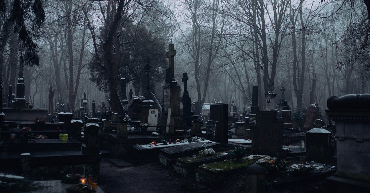 What are all the differences between polymorph and death ray? - Flowers and Candles Over the Tombs