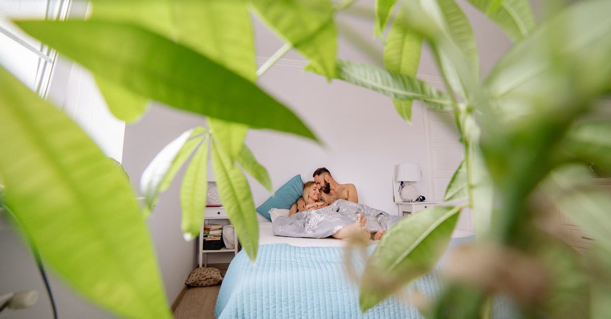 What are all the hidden messages found in searchable containers? - Woman in White Dress Lying on Bed