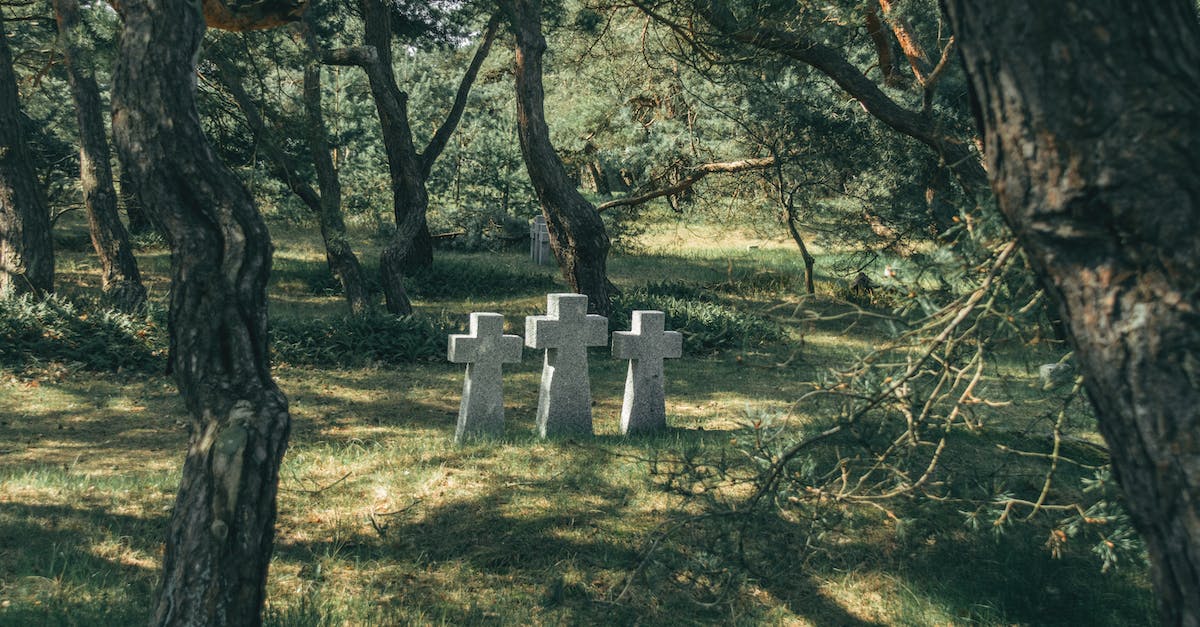 What are all these Graves for? - Graves in Forest