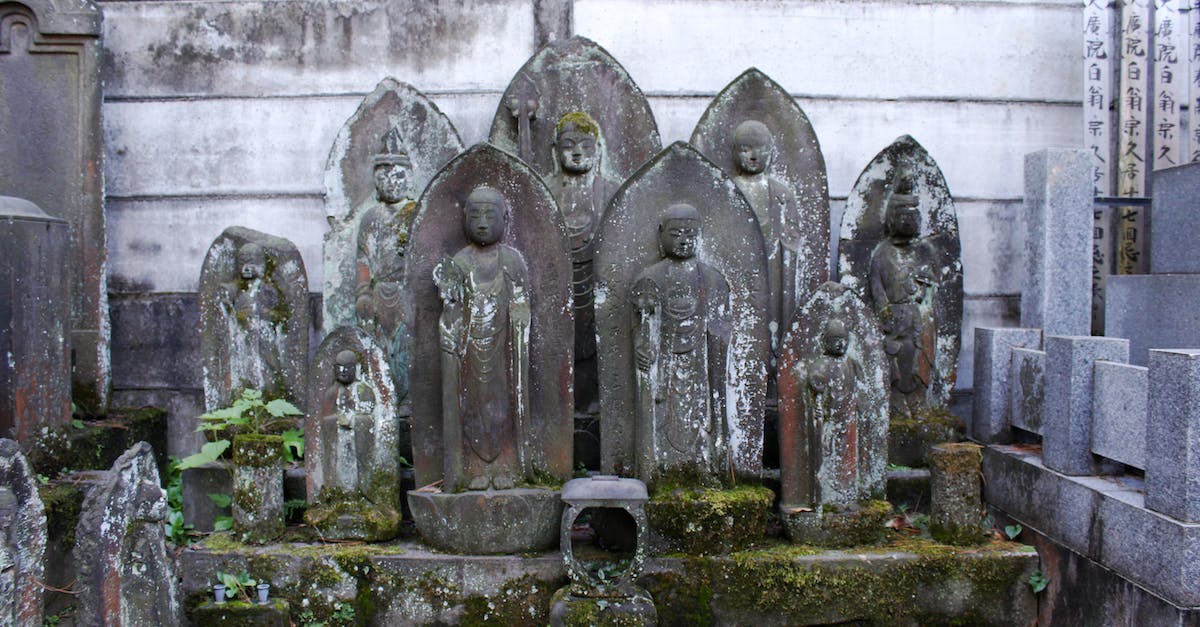 What are all these Graves for? - Gray Concrete Tomb With Green Plants