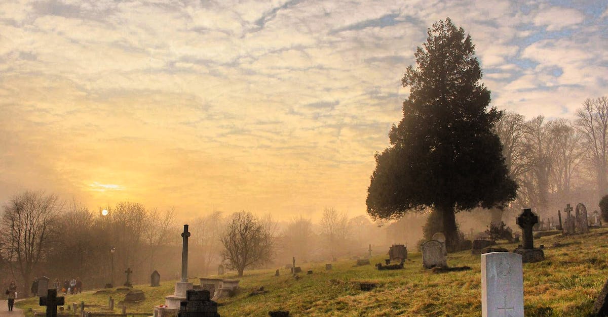 What are all these Graves for? - Cemetery Under the Cloudy Sky 