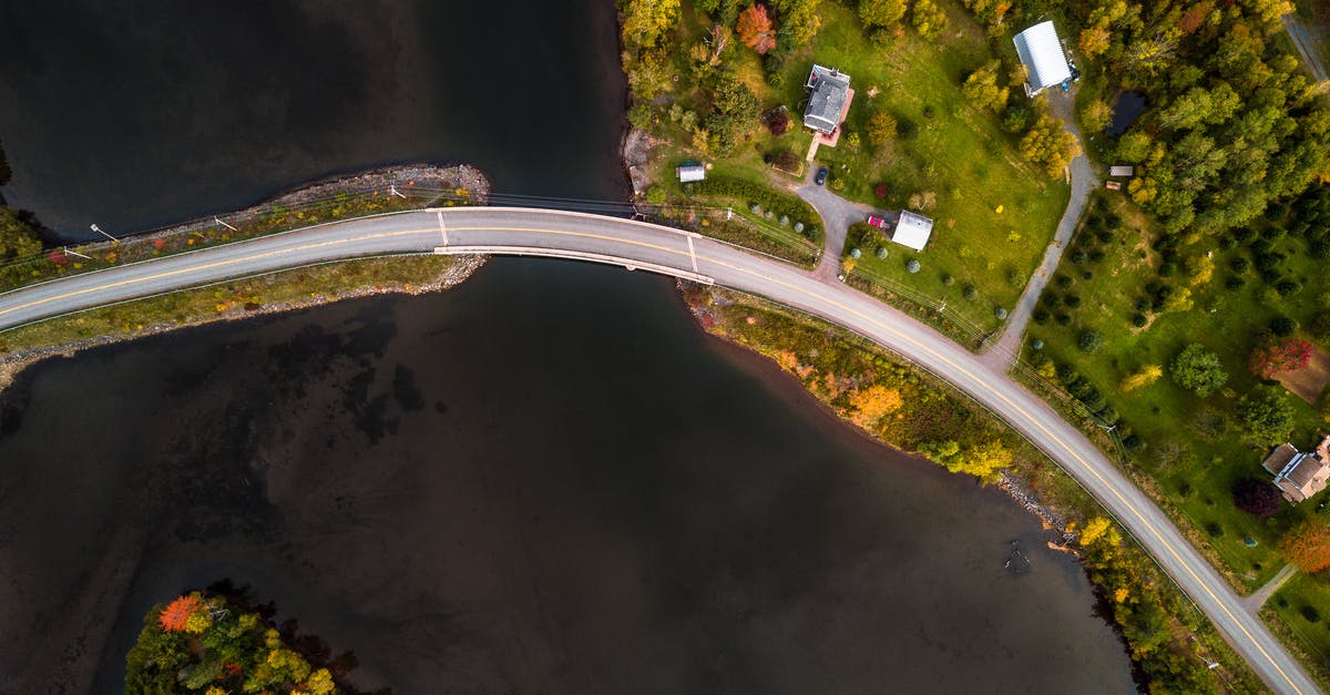 What are Bastion's birds' names? - Aerial View of Road and Trees What are Bastion's birds' names? - Aerial View of Road and Trees