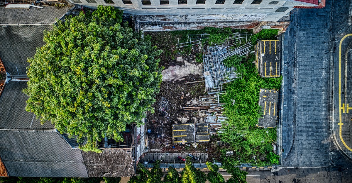 What are familia metals for? - Aerial Photo of Green Tree Beside Building