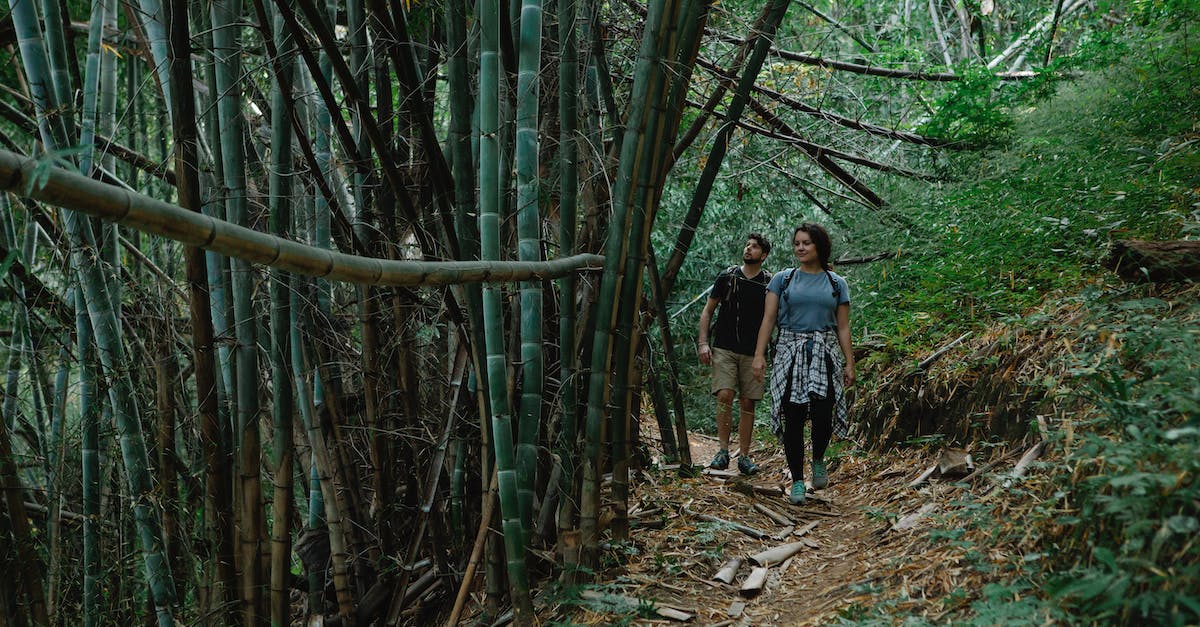 What are good routes to jungle and gank at level 2-3? - Full body of unrecognizable young female and male travelers in casual clothes walking on narrow pathway among bamboo trees during hiking trip What are good routes to jungle and gank at level 2-3? - Full body of unrecognizable young female and male travelers in casual clothes walking on narrow pathway among bamboo trees during hiking trip