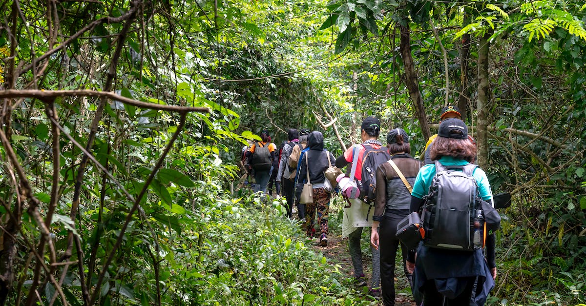 What are good routes to jungle and gank at level 2-3? - Back view of unrecognizable backpackers strolling on pathway between lush greenery in tropical woods What are good routes to jungle and gank at level 2-3? - Back view of unrecognizable backpackers strolling on pathway between lush greenery in tropical woods