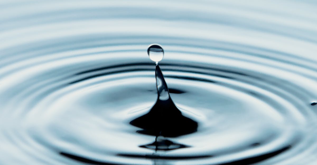 What are mechanics to getting a reaction shot in Xenonauts? - Close-up Shot of a Water Droplet from a Splash What are mechanics to getting a reaction shot in Xenonauts? - Close-up Shot of a Water Droplet from a Splash
