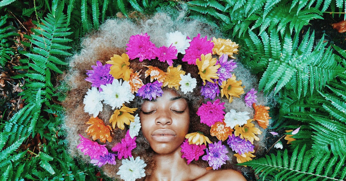 What are Moxxi's Portraits for? - Woman With Floral Headdress Lying On Green Leaf Plants What are Moxxi's Portraits for? - Woman With Floral Headdress Lying On Green Leaf Plants