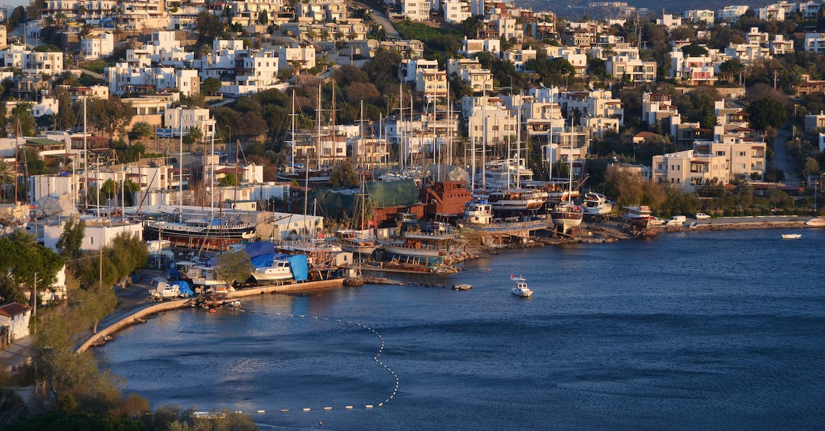 What are shipyard sponsors? - White and Brown Boat on Body of Water Near City Buildings What are shipyard sponsors? - White and Brown Boat on Body of Water Near City Buildings
