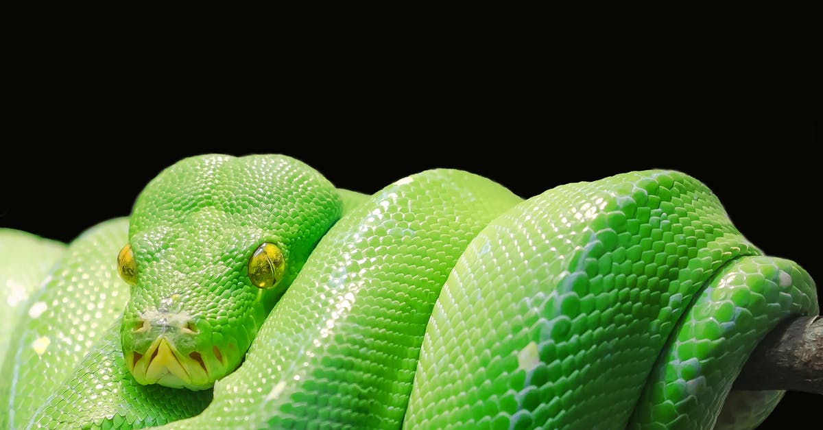 What are some strategies for beating the Snake (MGS1) Alternative/VR Missions? [closed] - Green Snake