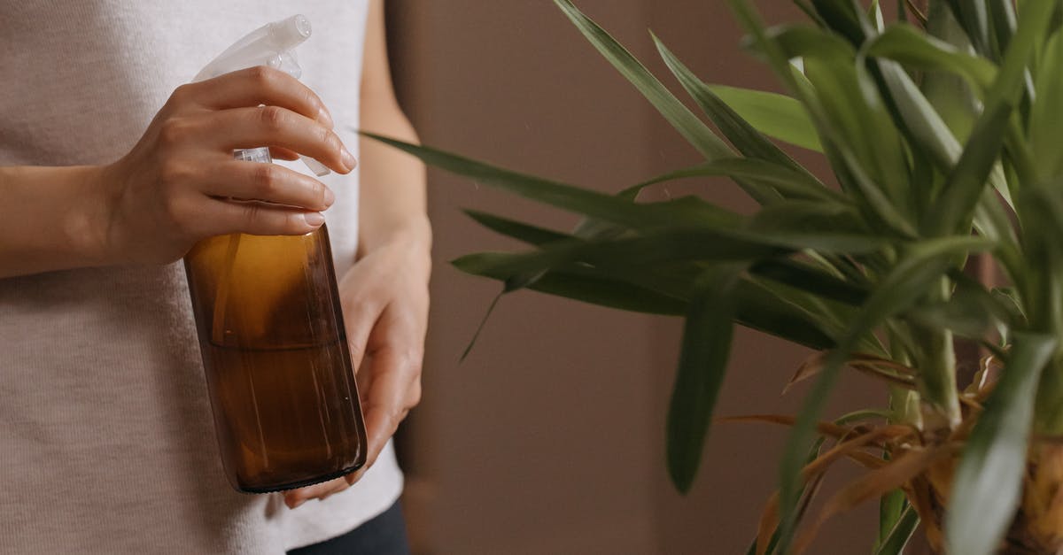 What are sprays? - Person Holding Brown Glass Bottle