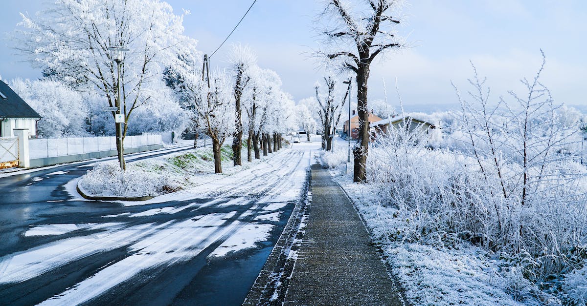 What are techniques to keep a lane frozen? - Road and Trees Covered With Snow
