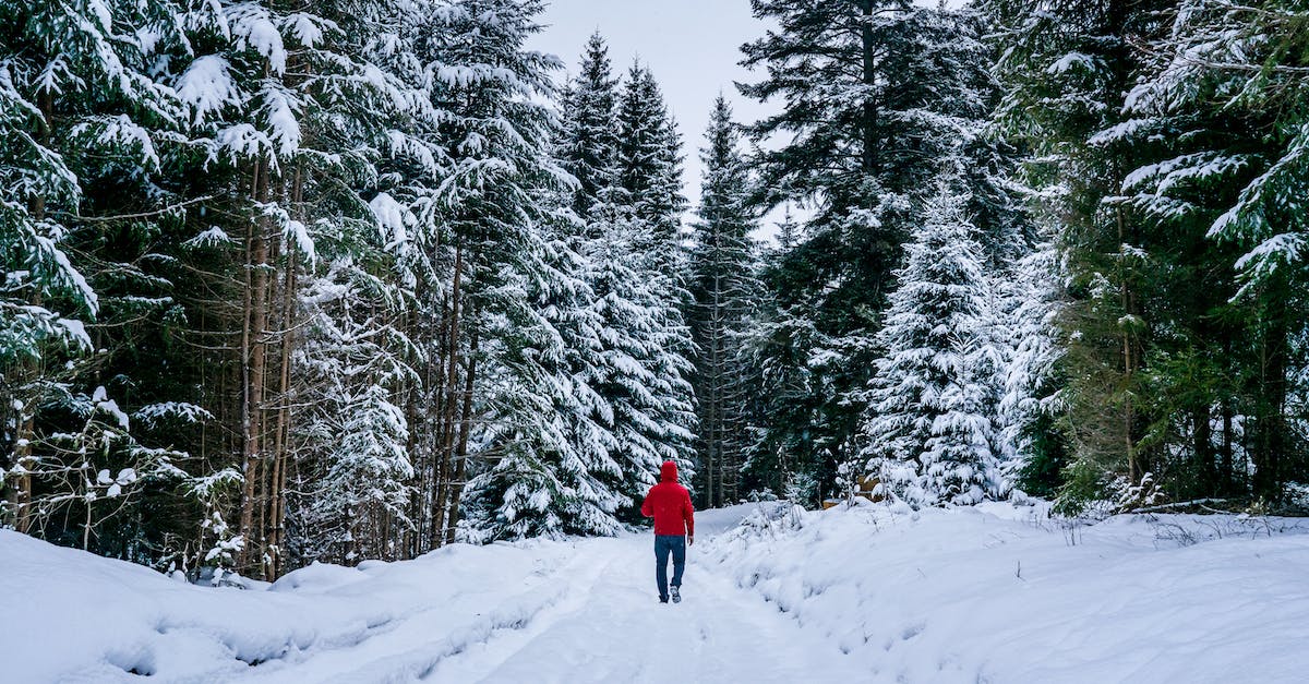 What are techniques to keep a lane frozen? - Unrecognizable man walking along snowy forest