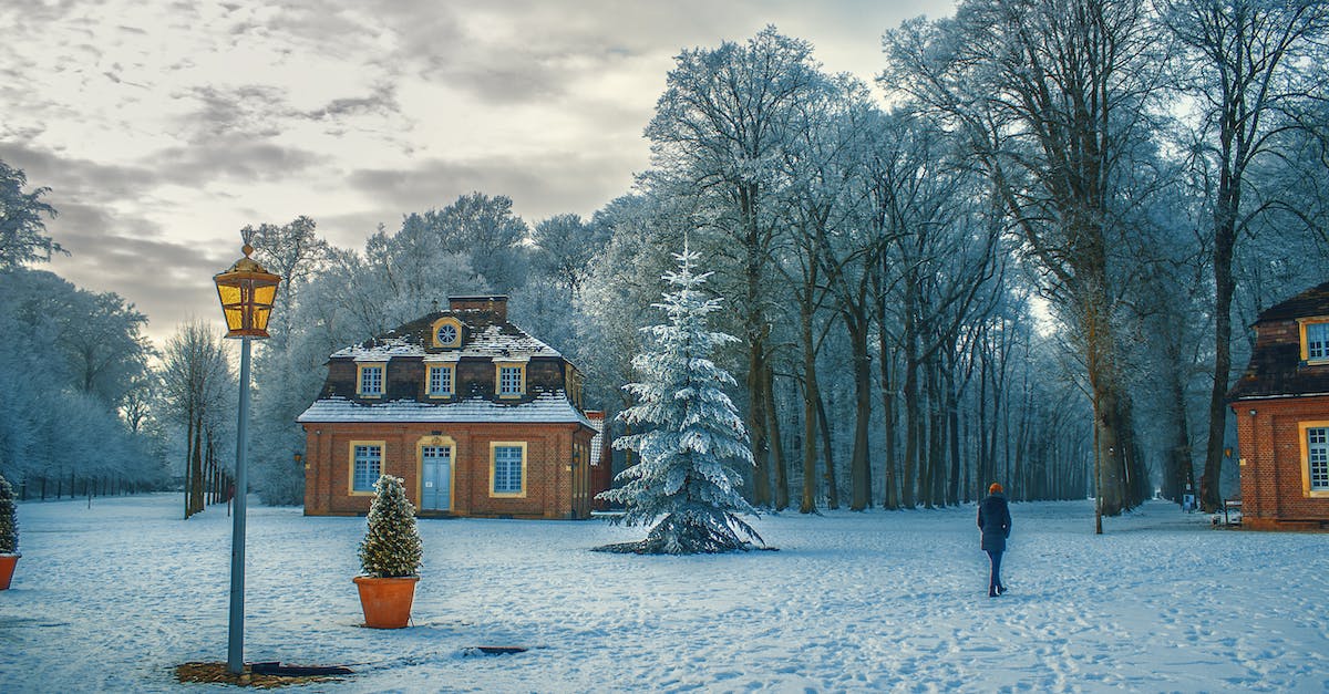 What are techniques to keep a lane frozen? - Snow Covered Trees in Winter