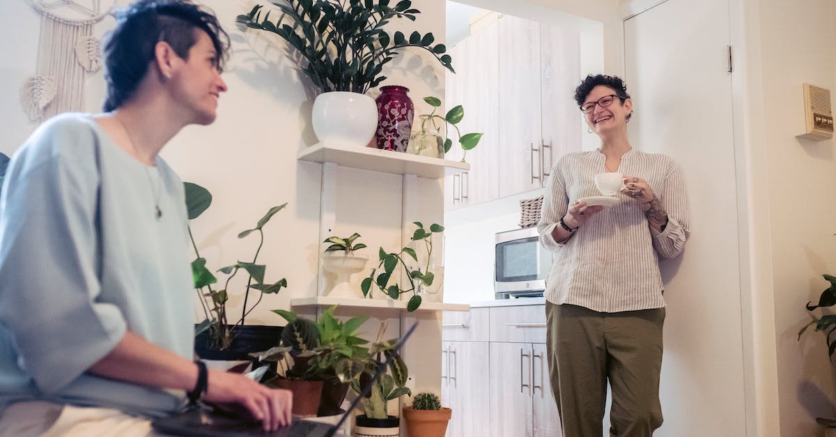 What are the best job combinations? - Joyful woman drinking coffee and chatting with friend working on laptop