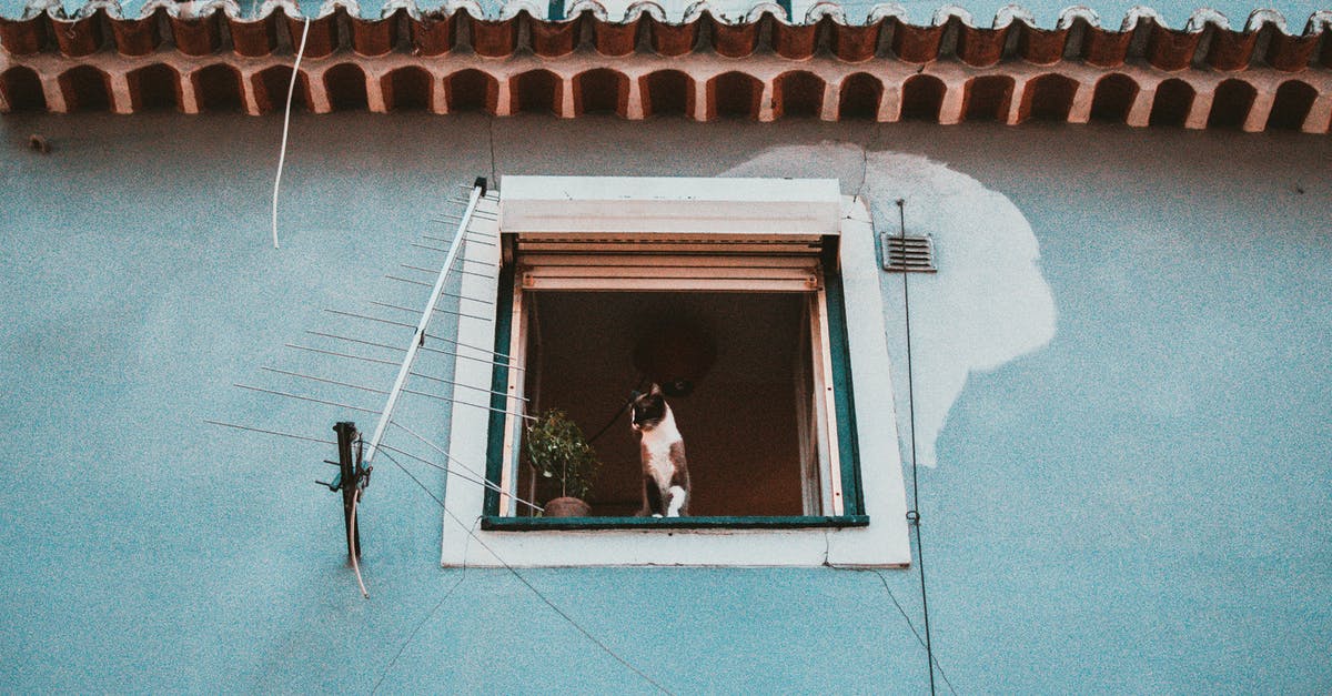 [Answered] What are the blue tickets in CATS? krazyGaming