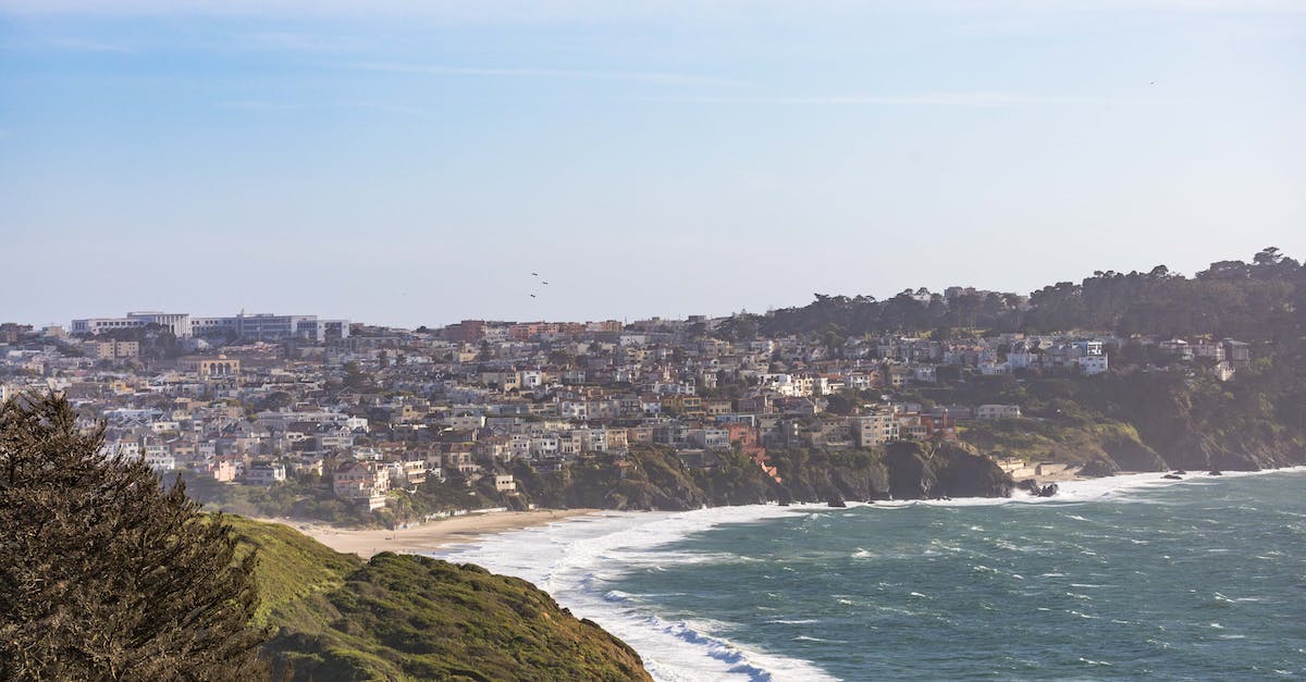 What are the bonuses of Dead Island Riptide Limited Edition? - City Buildings Near Body of Water