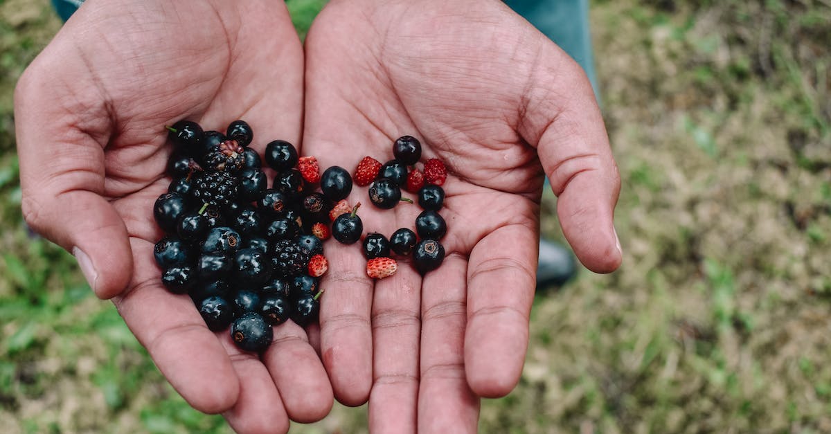 What are the combinations for the mutates berries? [duplicate] - Close-up of Berries on a Person's Palm