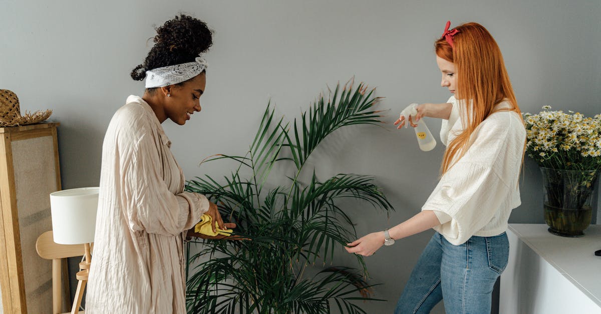 What are the consequences of watering my plant? - Man and Woman Standing Beside Green Plant What are the consequences of watering my plant? - Man and Woman Standing Beside Green Plant