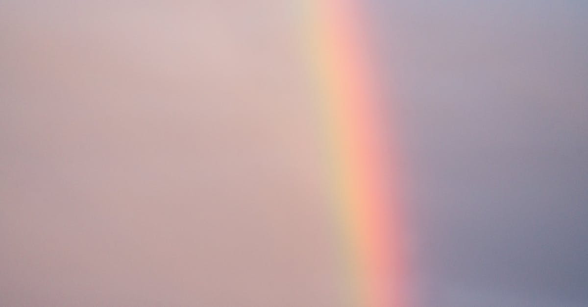 What are the effects of discovering a natural wonder? - Picturesque scenery of colorful rainbow effect on cloudless sky in nature on summer day after rain in countryside