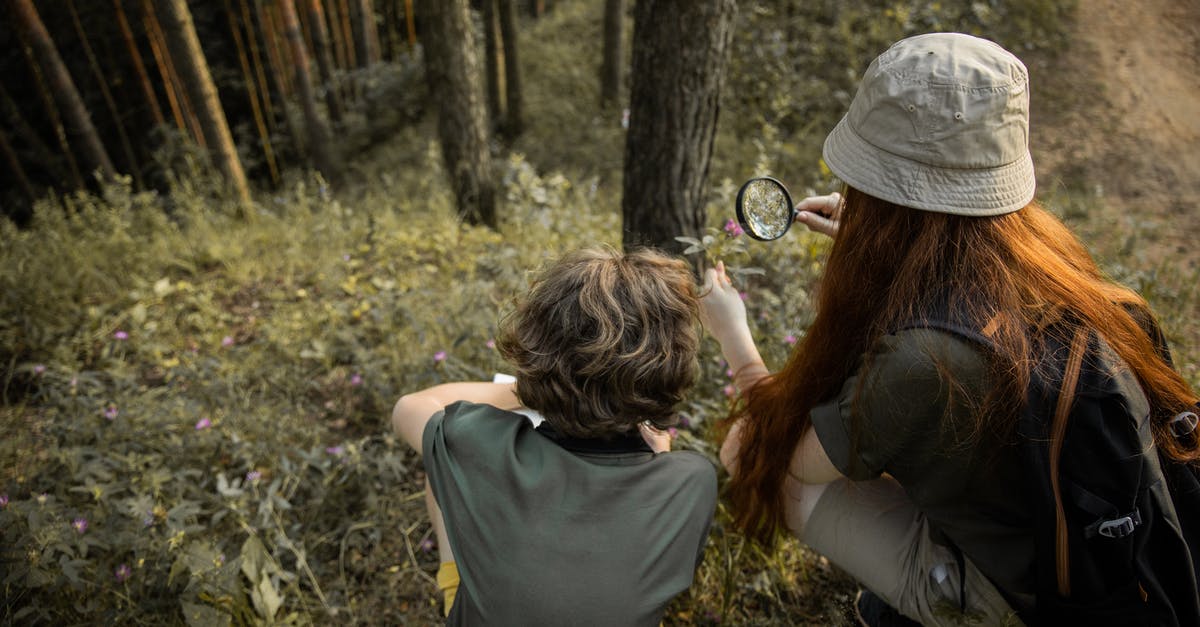 What are the effects of discovering a natural wonder? - Teenagers on an Adventure in a Forest and Looking Through a Loupe