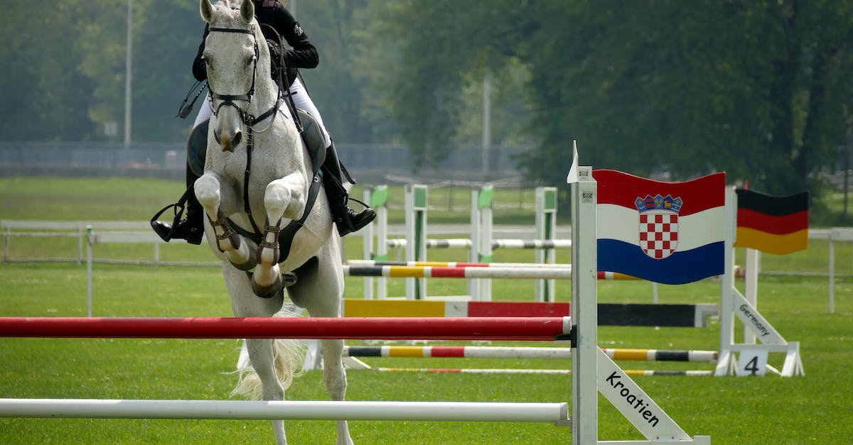What are the flags behind the animal king? - A Person Riding the Horse What are the flags behind the animal king? - A Person Riding the Horse