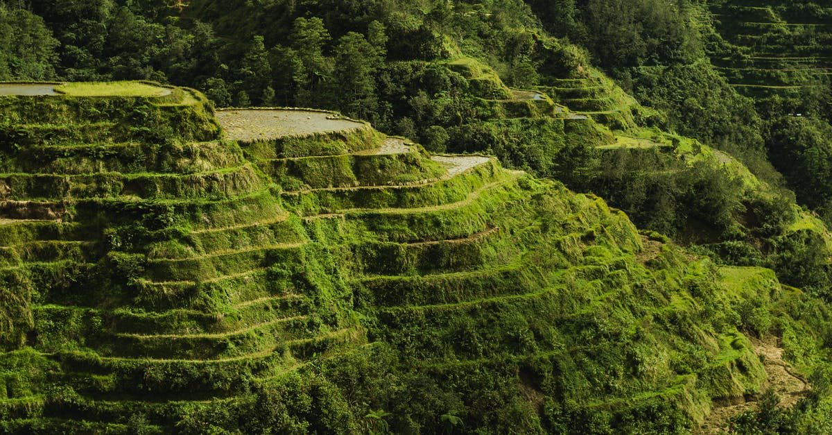 What are the goals in Clash Royale? - Scenic Photo Of Rice Terraces During Daytime