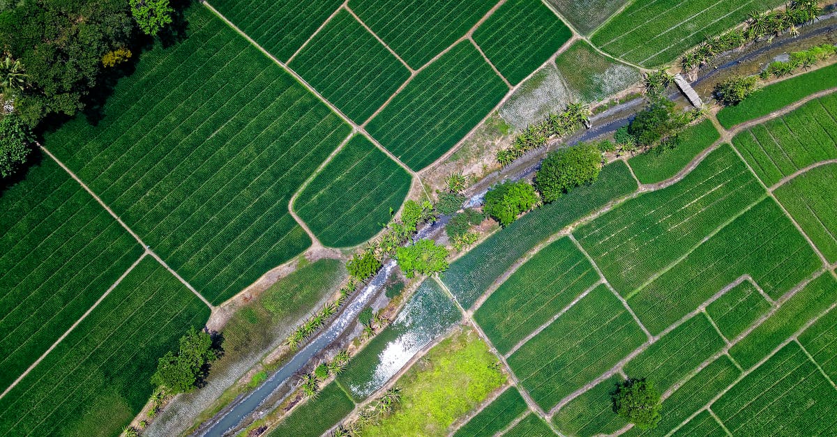 What are the grounds for refunding of Symmetra's teleporter? - Bird's Eye View of River in Middle of Green Fields