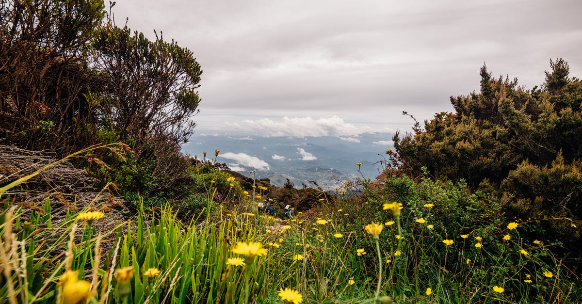 What are the minimum altitudes for each warp level? - Wild Flowers In A Mountain