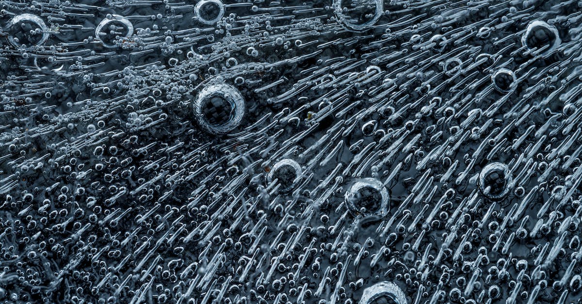 What are the patterns for the animals in the different areas? - Abstract dark background of bird plumage