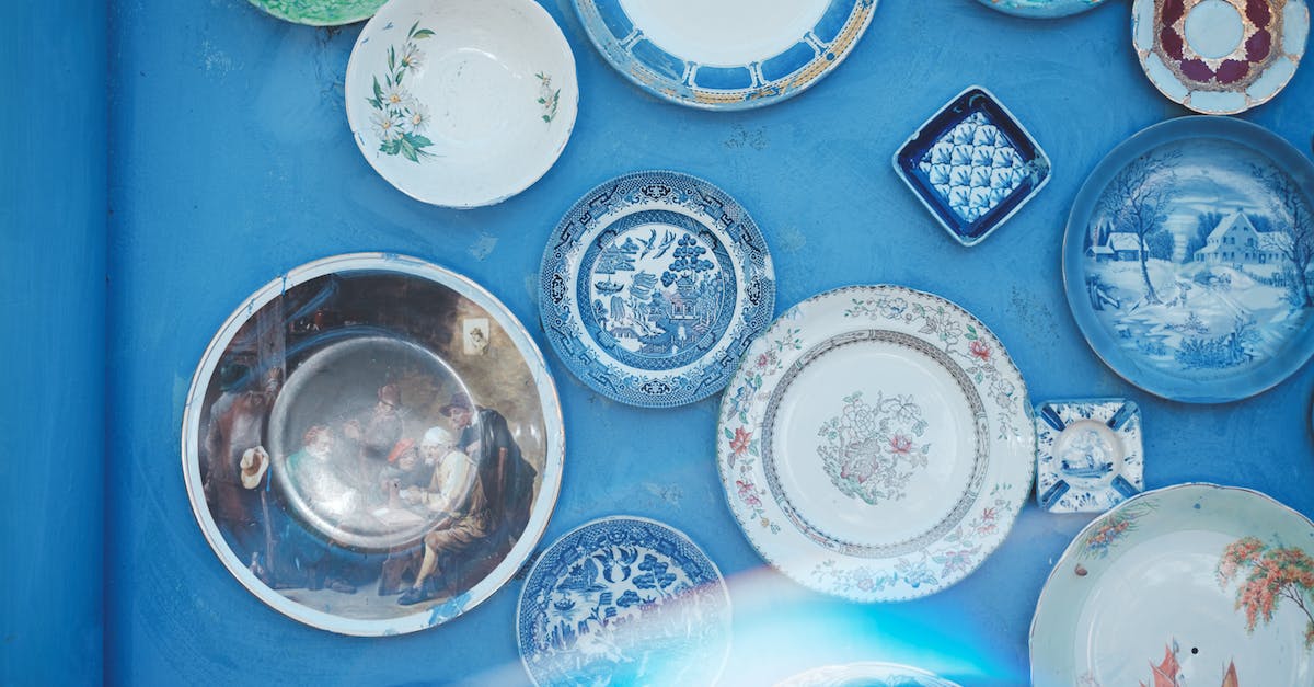 What are the patterns for the animals in the different areas? - Assorted vintage plates of different sizes and ornaments hanging on bright blue wall in light studio