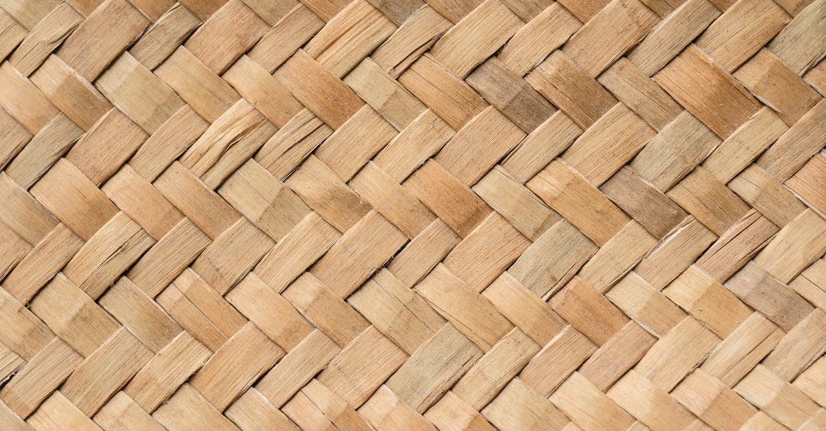 What are the patterns for the Northern animals? - Free stock photo of bamboo, beige, design