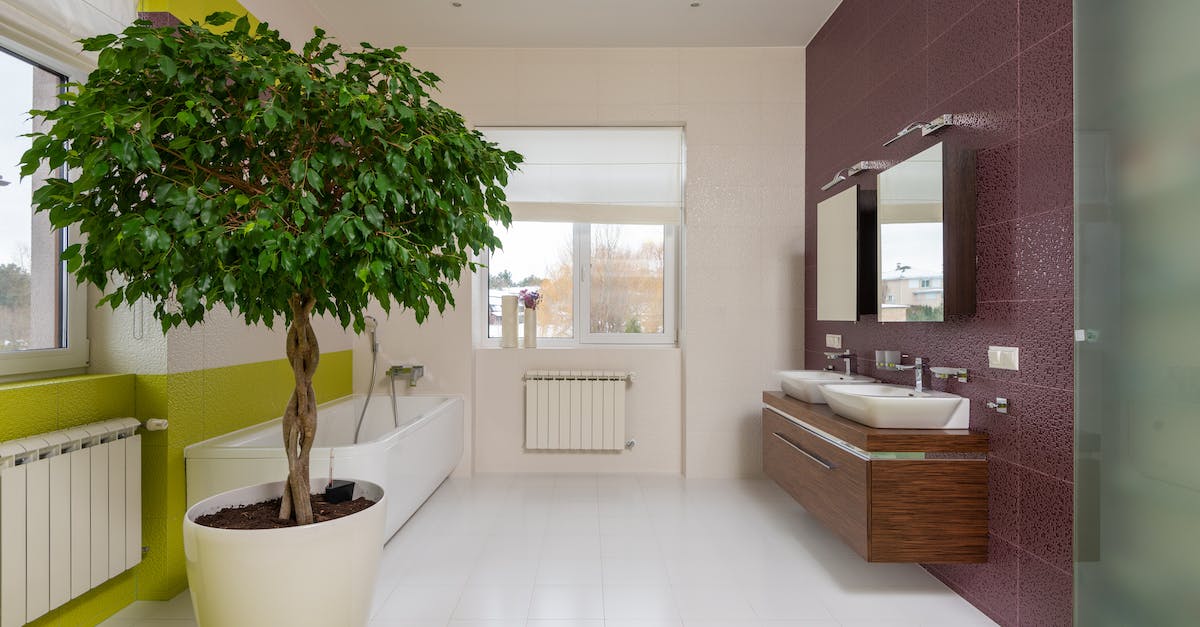 What are the purple tiles? - Interior of modern colorful master bathroom with shower cabin and tub in front of double sink cabinet with mirrors in daylight