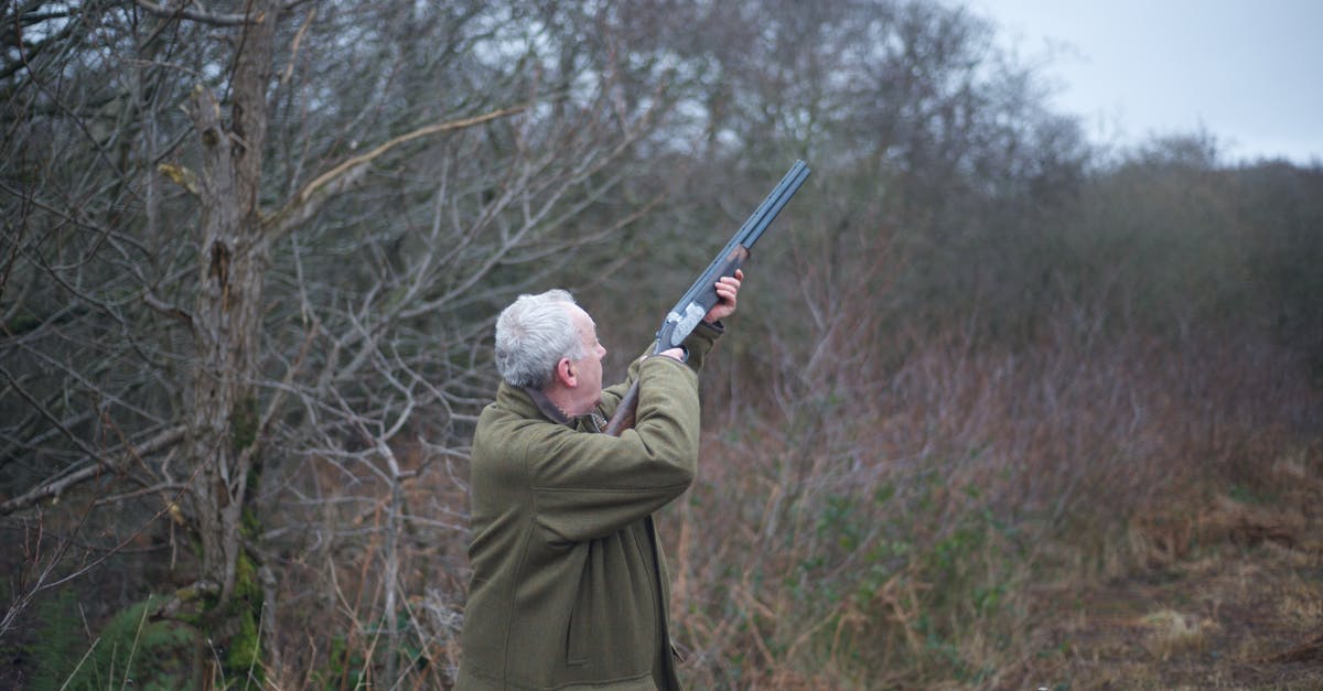 What are the second effects of weapon enchantments? - Man in Green Coat Holding Rifle