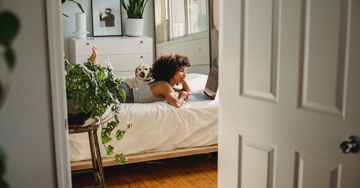 What are the strategies to getting past a stationary guard that is watching the door? - Side view of young ethnic female with netbook leaning on hand while resting on bed with dog at home What are the strategies to getting past a stationary guard that is watching the door? - Side view of young ethnic female with netbook leaning on hand while resting on bed with dog at home