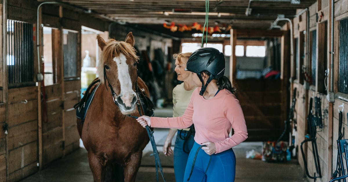 What are the timings for double pulling in safe lane, and pulling from offlane? - Free stock photo of adult, barn, cavalry What are the timings for double pulling in safe lane, and pulling from offlane? - Free stock photo of adult, barn, cavalry