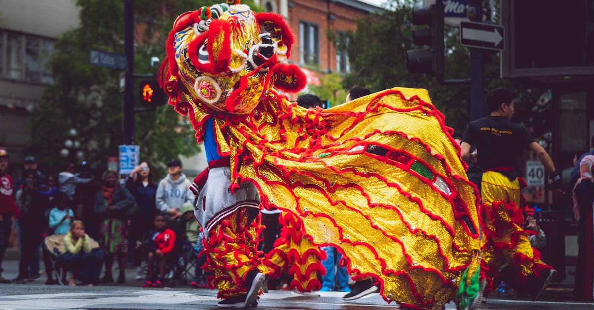 What are the weaknesses in Dragon City? - Person Wearing Foo Dog Costume What are the weaknesses in Dragon City? - Person Wearing Foo Dog Costume