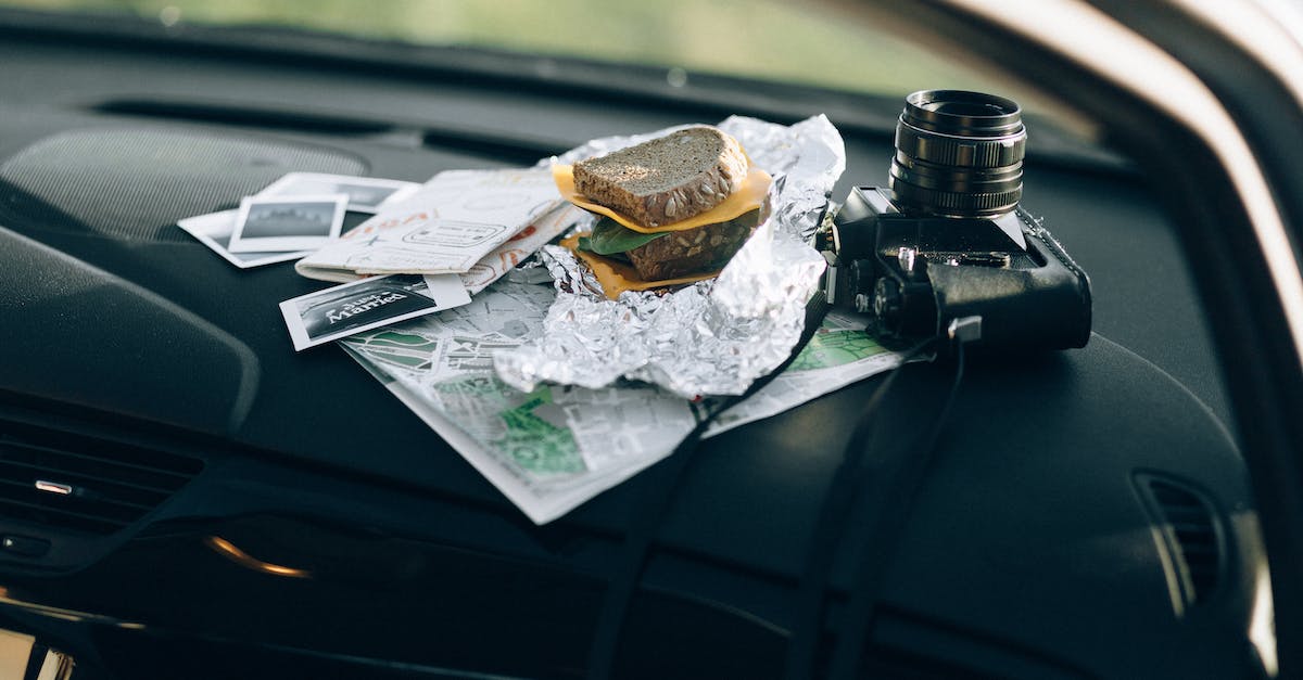 What are these things in Destiny? - Photo of a Sandwich Beside a Black Dslr Camera