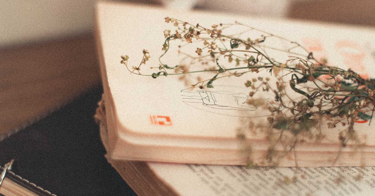 What are those persian texts on CS series? - Green Leaf on Pile of Books What are those persian texts on CS series? - Green Leaf on Pile of Books