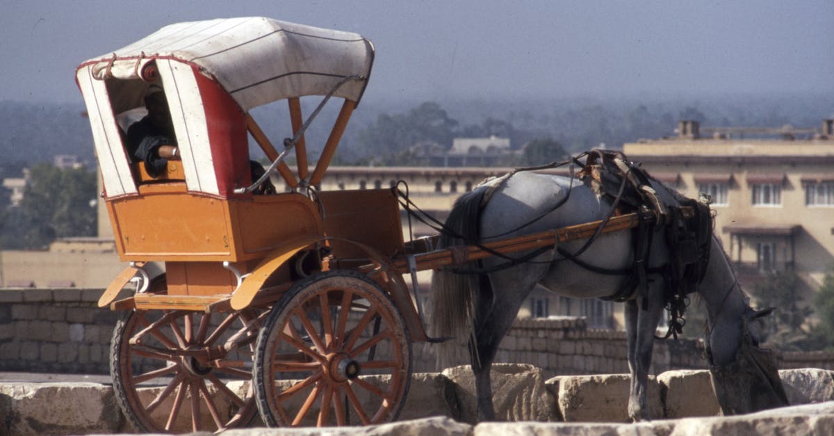 What Atari system does this 1980s PCB go to? - Horse Carriage on Gray Concrete What Atari system does this 1980s PCB go to? - Horse Carriage on Gray Concrete