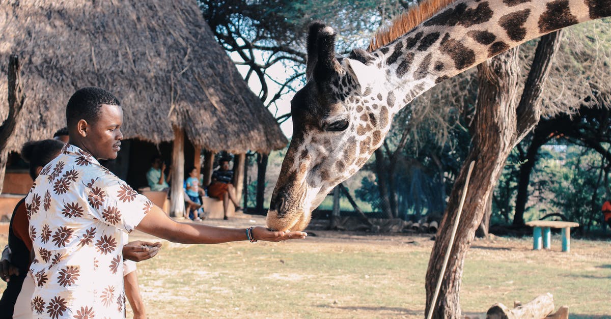 What blocks can Experience Orbs travel through? - Person Feeding Giraffe What blocks can Experience Orbs travel through? - Person Feeding Giraffe