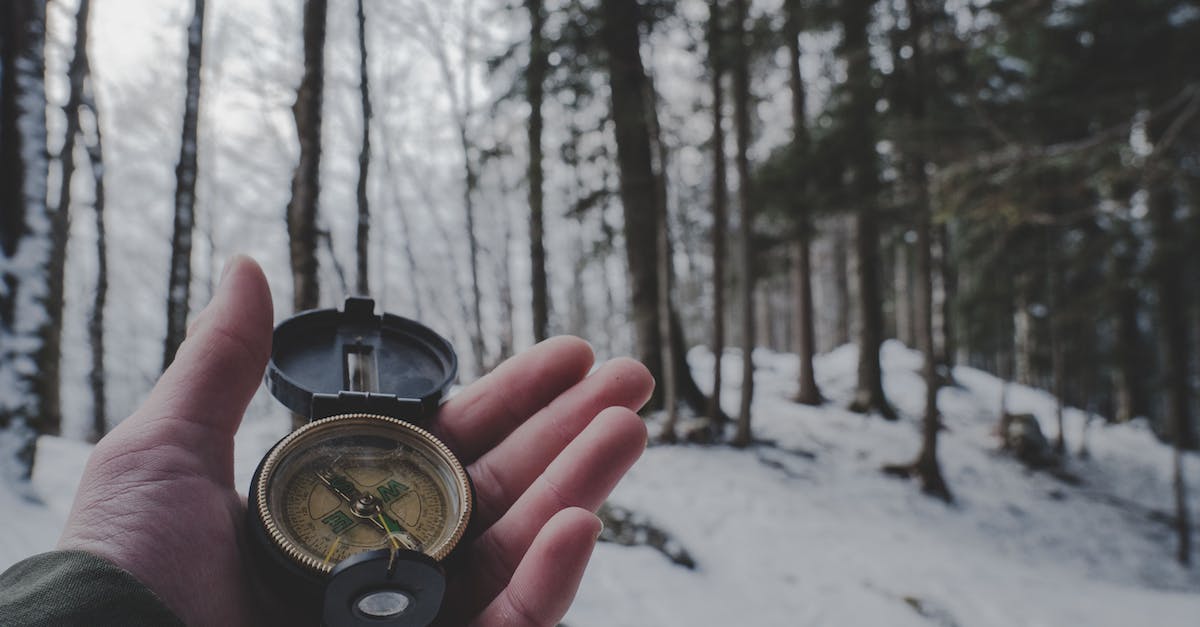 What bonus does the Frost Fang give, in Hand of Fate? - Person Holding Compass in Forest